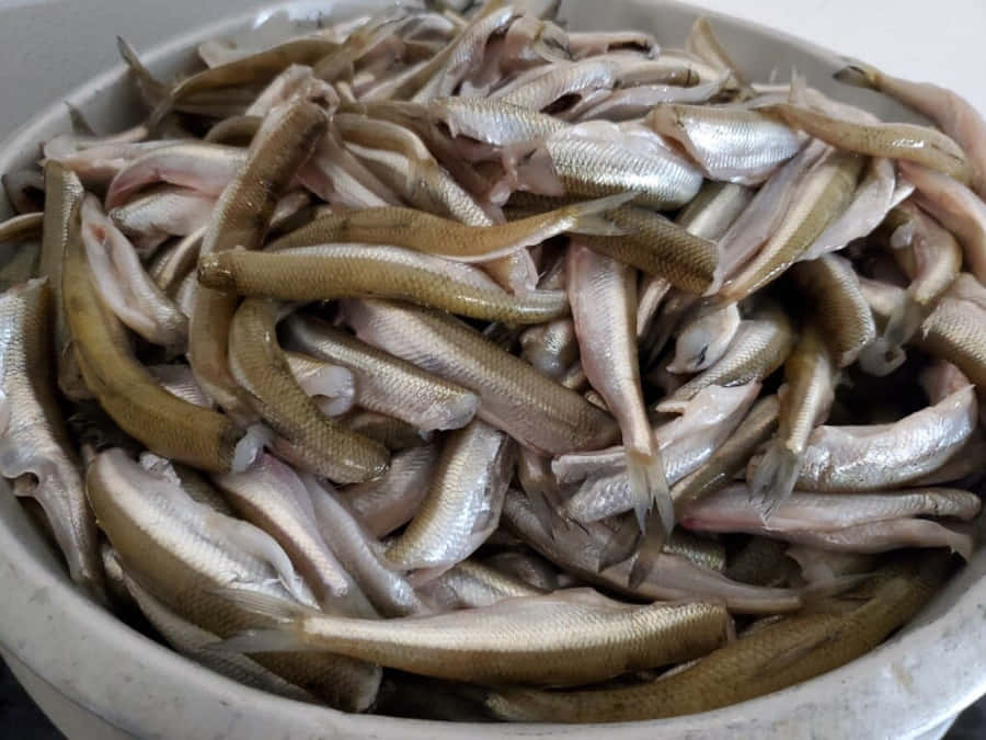 Smelt Bakgrunnsbildet