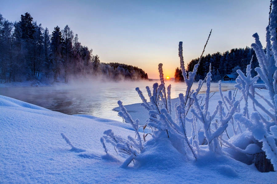 Smukke Vinter Billeder