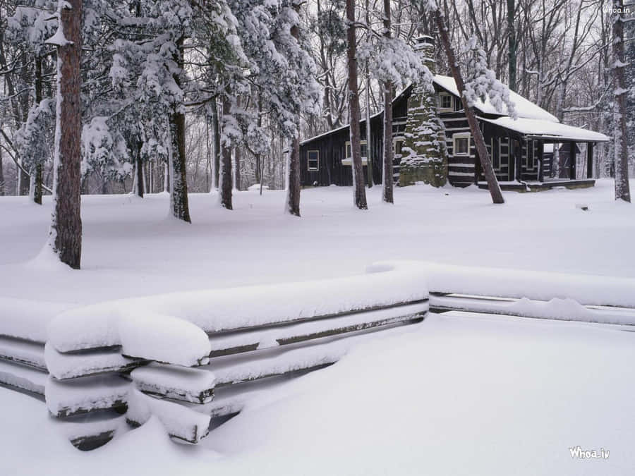 Sneeuwval Achtergrond