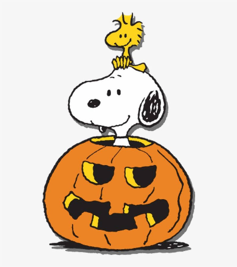 [0+] Snoopy Halloween Backgrounds | Wallpapers.com