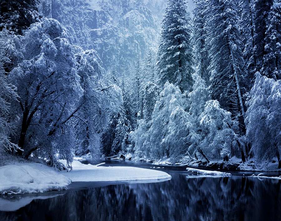 Sneklædte træer spejler sig i en stille flod om vinteren. — Snow 4K Wallpapers