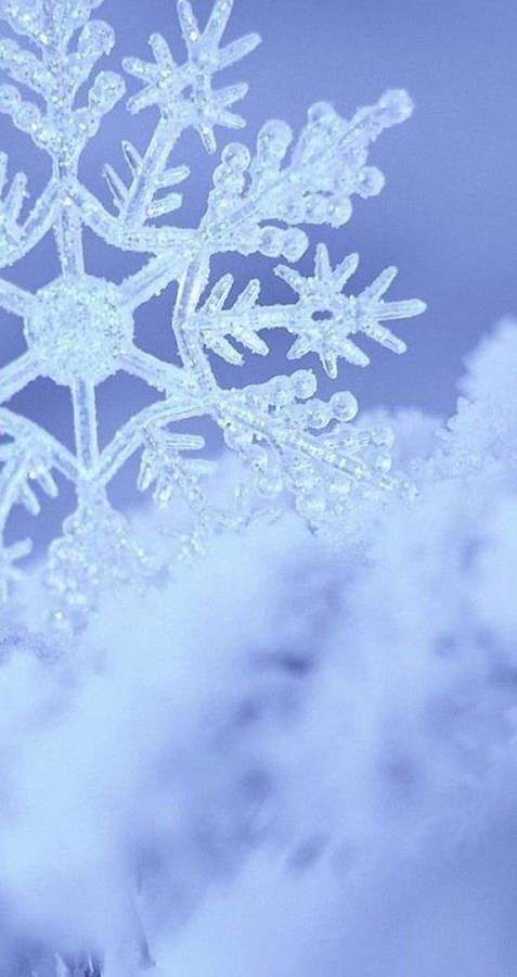 Snowflake Iphone Wallpaper