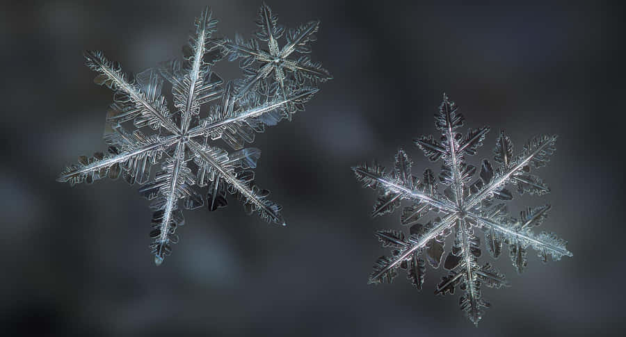 Snowflake Pictures Wallpaper