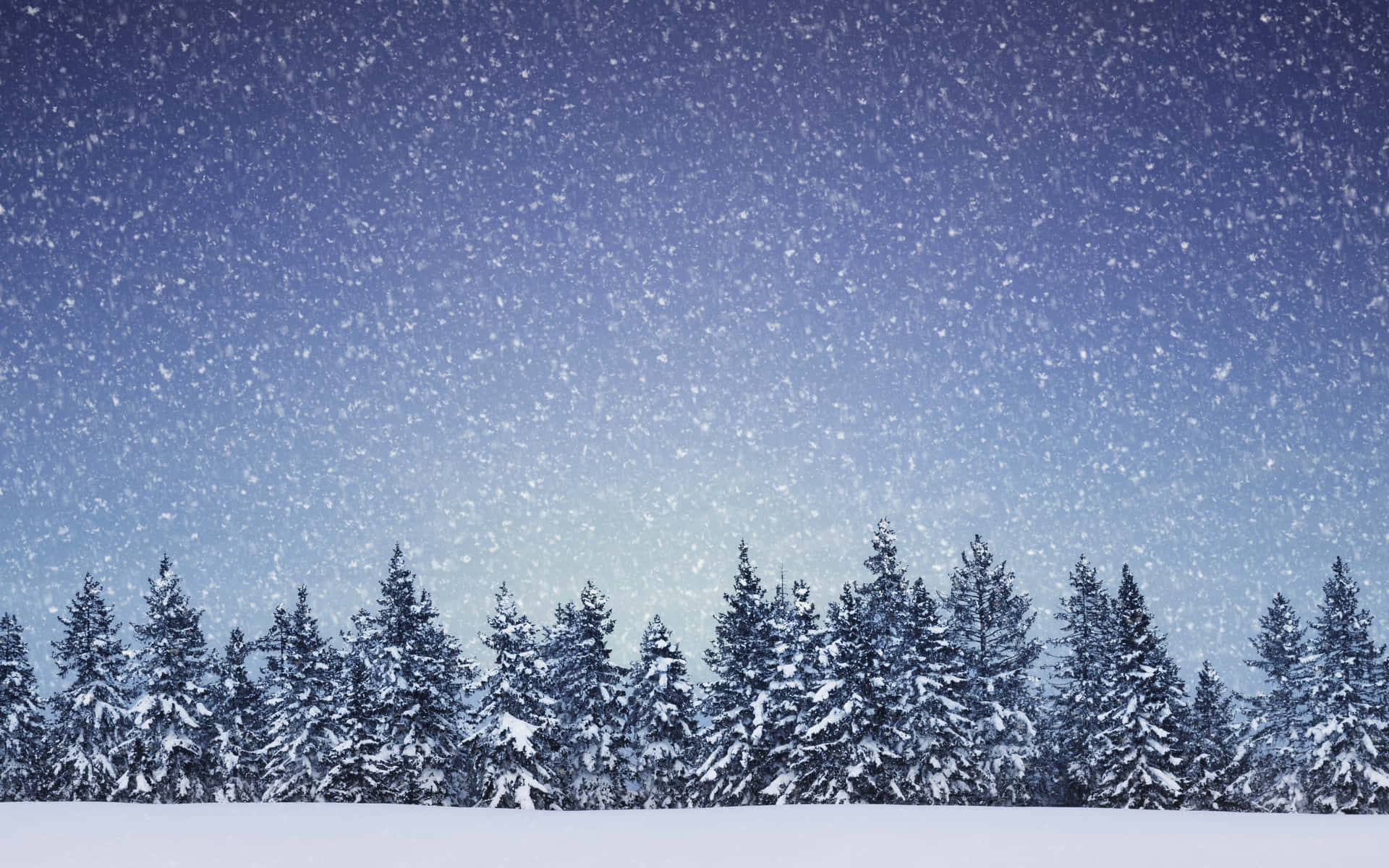 Snowing Background Wallpaper