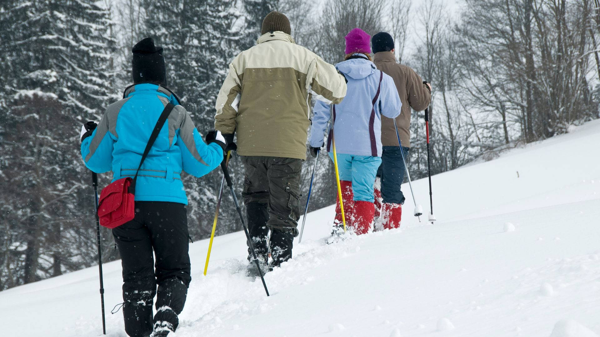Snowshoeing Pictures Wallpaper