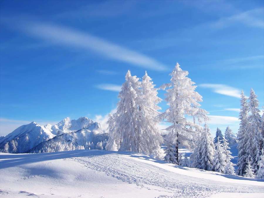 Snowy pine trees and mountains under a clear blue sky — Snowy Background