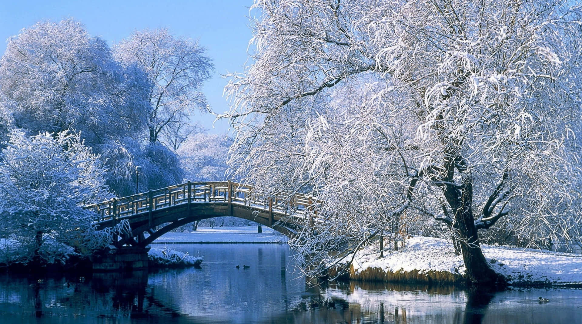 Snowy Pictures Wallpaper