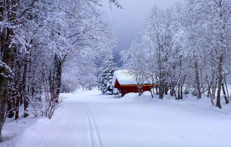 Snow-covered forest path leading to a red cabin in winter. — Snowy Road Wallpaper