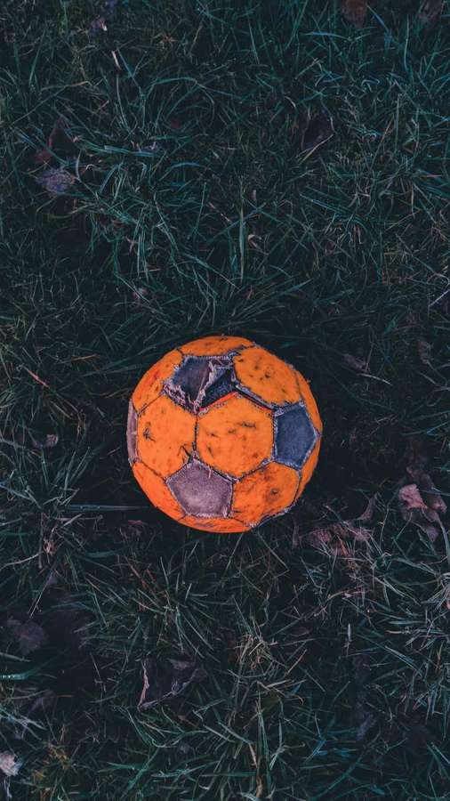 Slidt orange fodbold på græs med nedfaldne blade — Soccer iPhone Wallpapers
