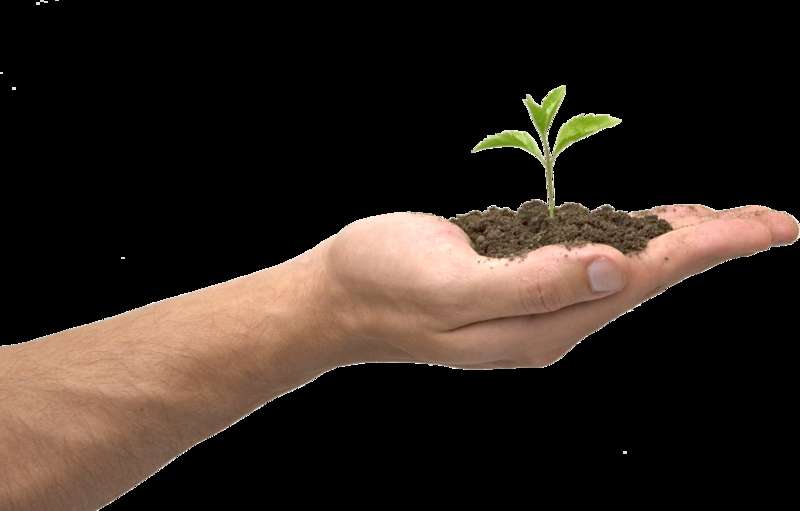 Hand holding soil with a small green plant sprout growing from it. — Soil PNG