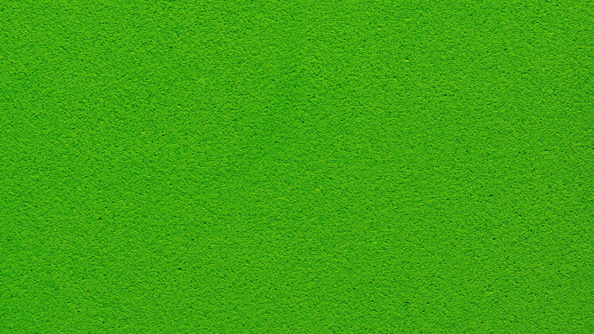 Solid Green Background Wallpaper
