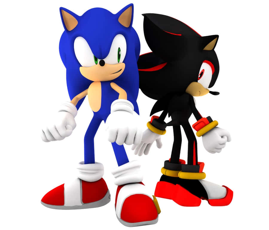 Sonic Dan Shadow Wallpaper