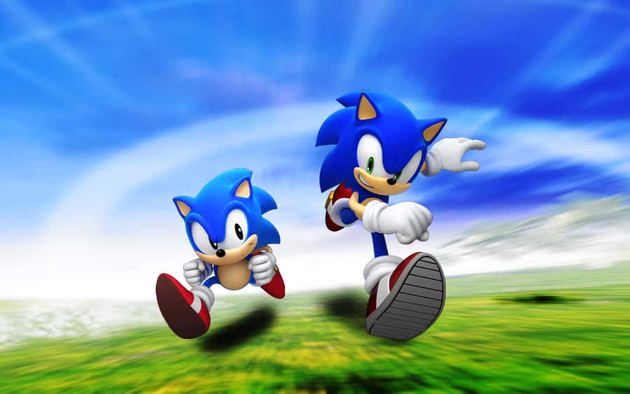 Due ricci blu che corrono attraverso un campo verde sotto un cielo azzurro. — Sonic Sfondi