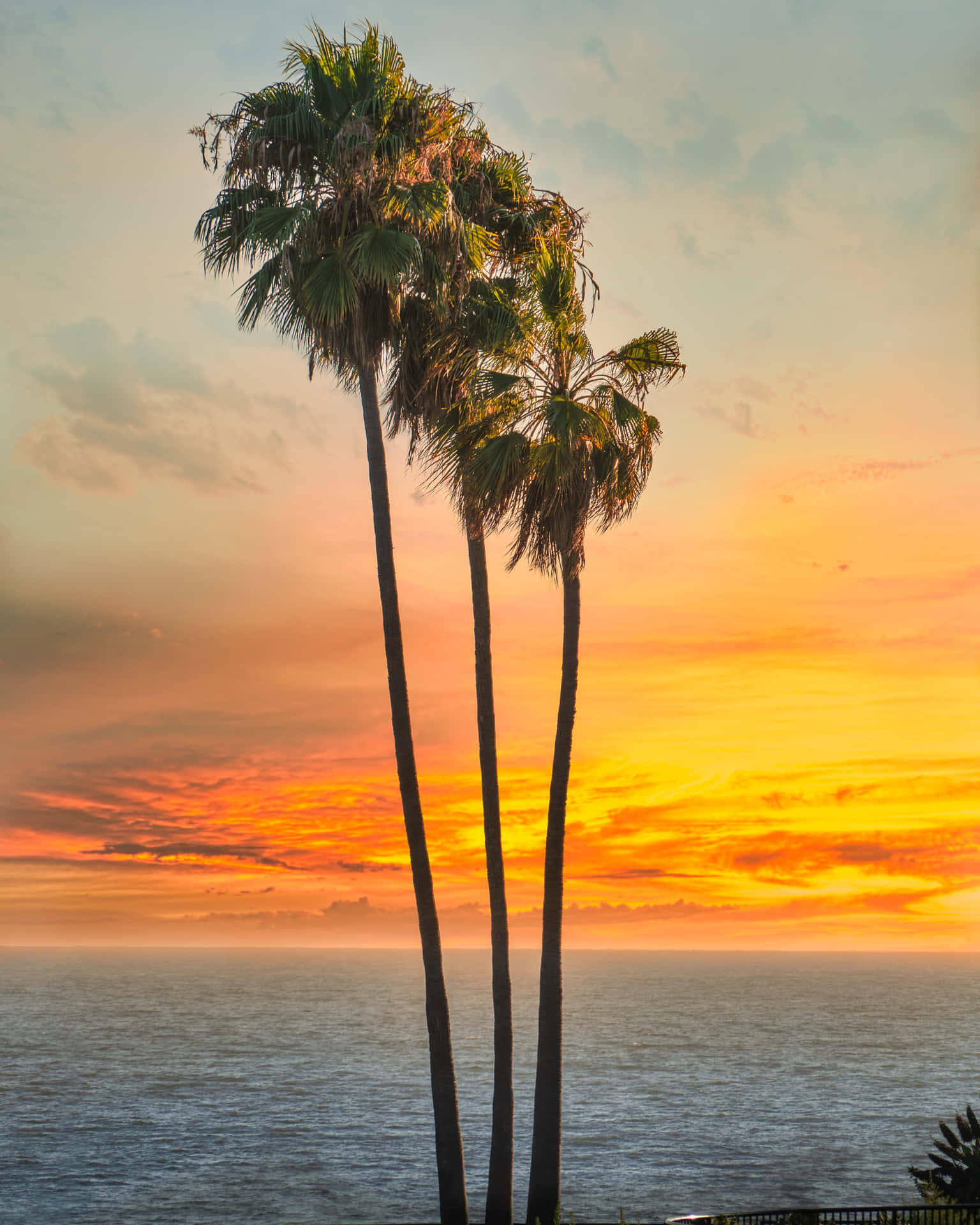 Southern California Pictures Wallpaper