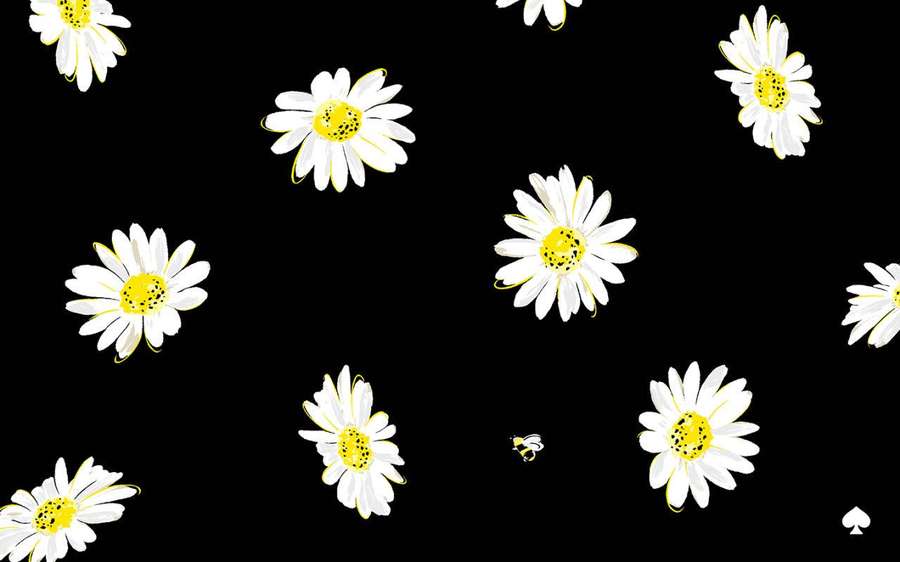 White daisies with yellow centers float on black background with small bee and spade. — Spade Wallpaper