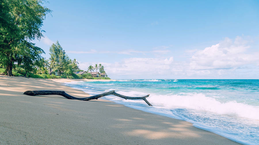 Spiaggia Delle Hawaii Sfondo