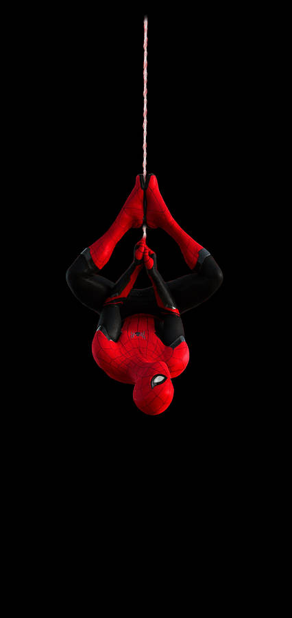 Spider Man Iphone Baggrunde