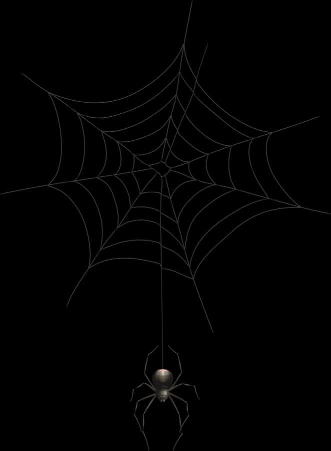 Spider Web Png