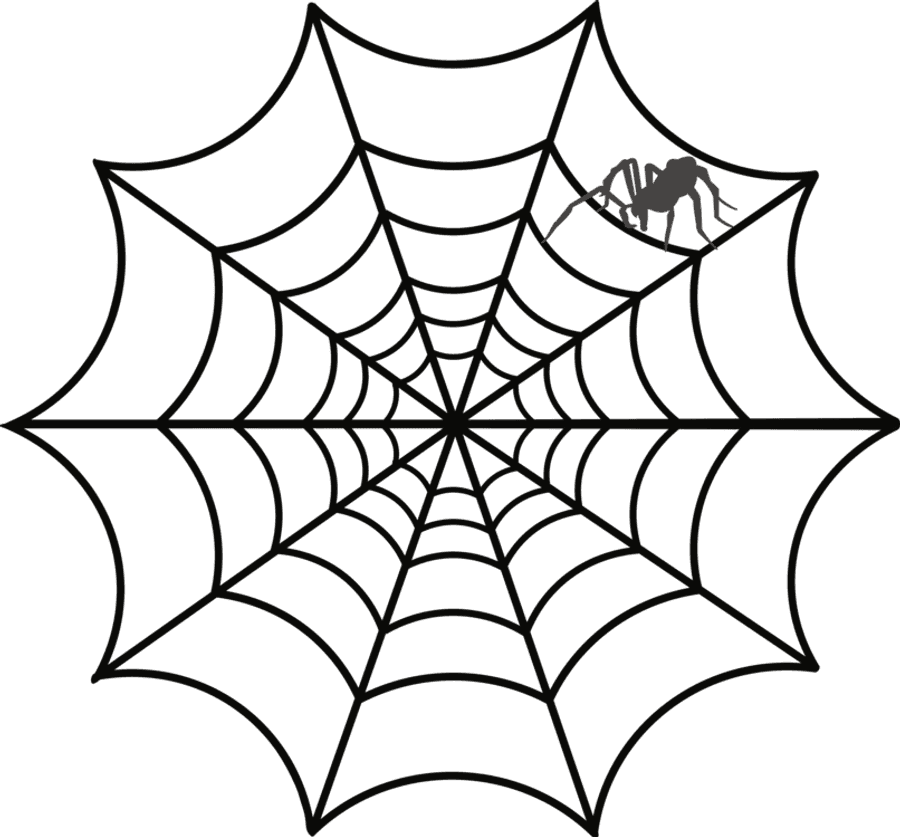 Spider Webs Png