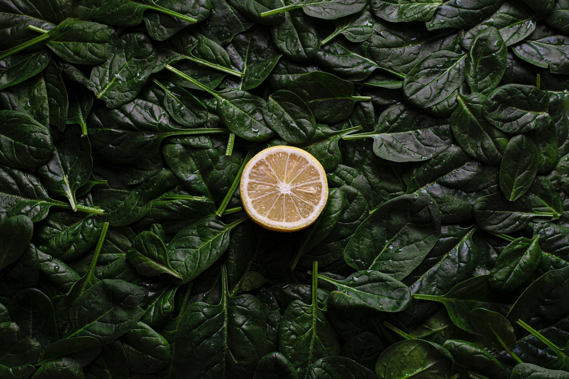 Spinach Wallpaper