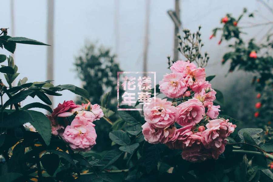 Be inspired by this view — Spring Aesthetic Desktop Wallpaper