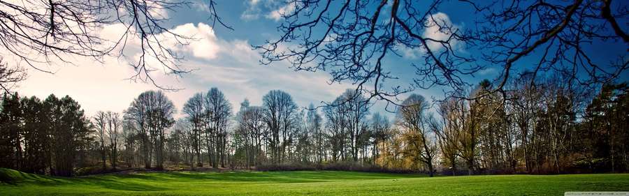 Kahle Baumzweige umrahmen ein grünes Feld unter einem blauen Himmel mit Wolken. — Spring Doppelbildschirm Wallpaper