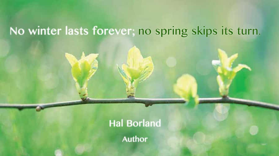 Spring Quotes Wallpaper