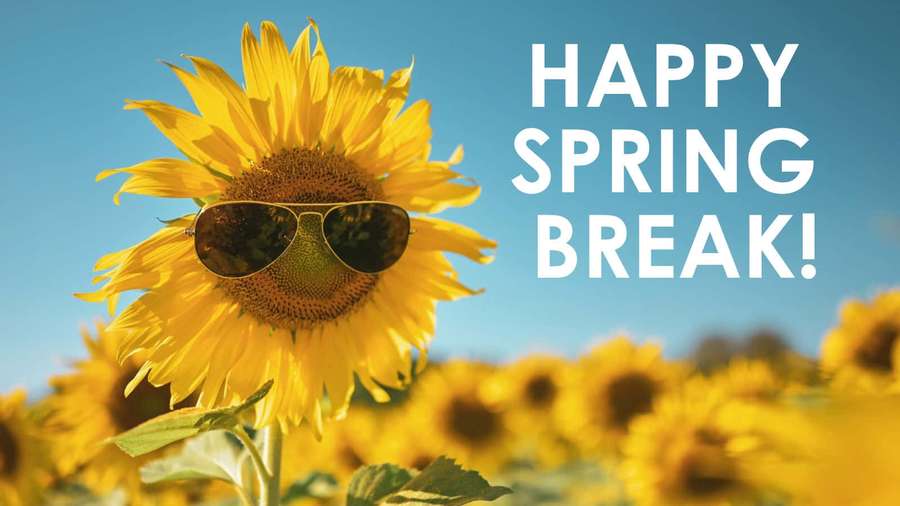 Sunflower wearing sunglasses with 'Happy Spring Break!' text against blue sky. — Spring Vacation Wallpaper