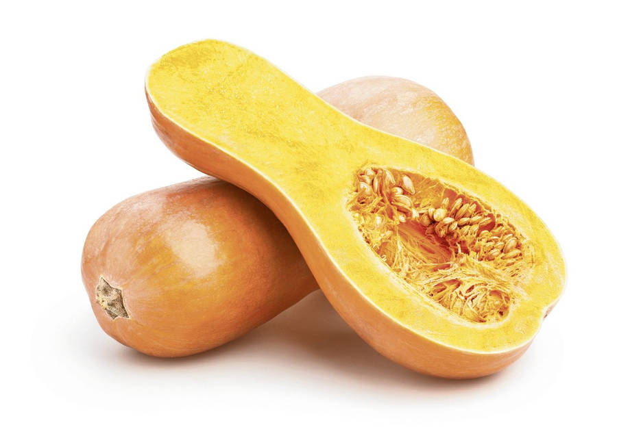 Squash Achtergrond