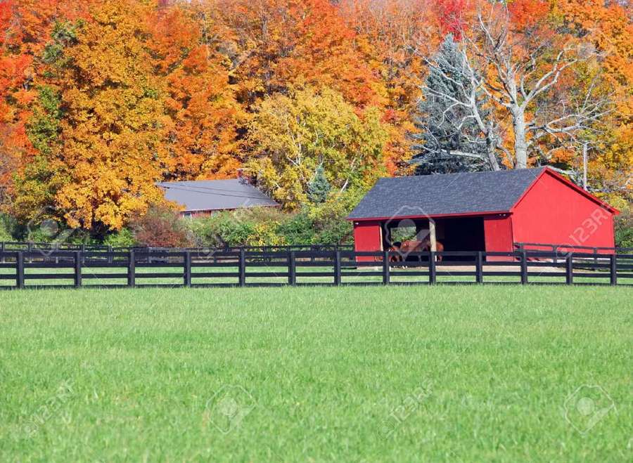 Red barn with horse inside, surrounded by autumn trees and green field. — Stable Wallpaper