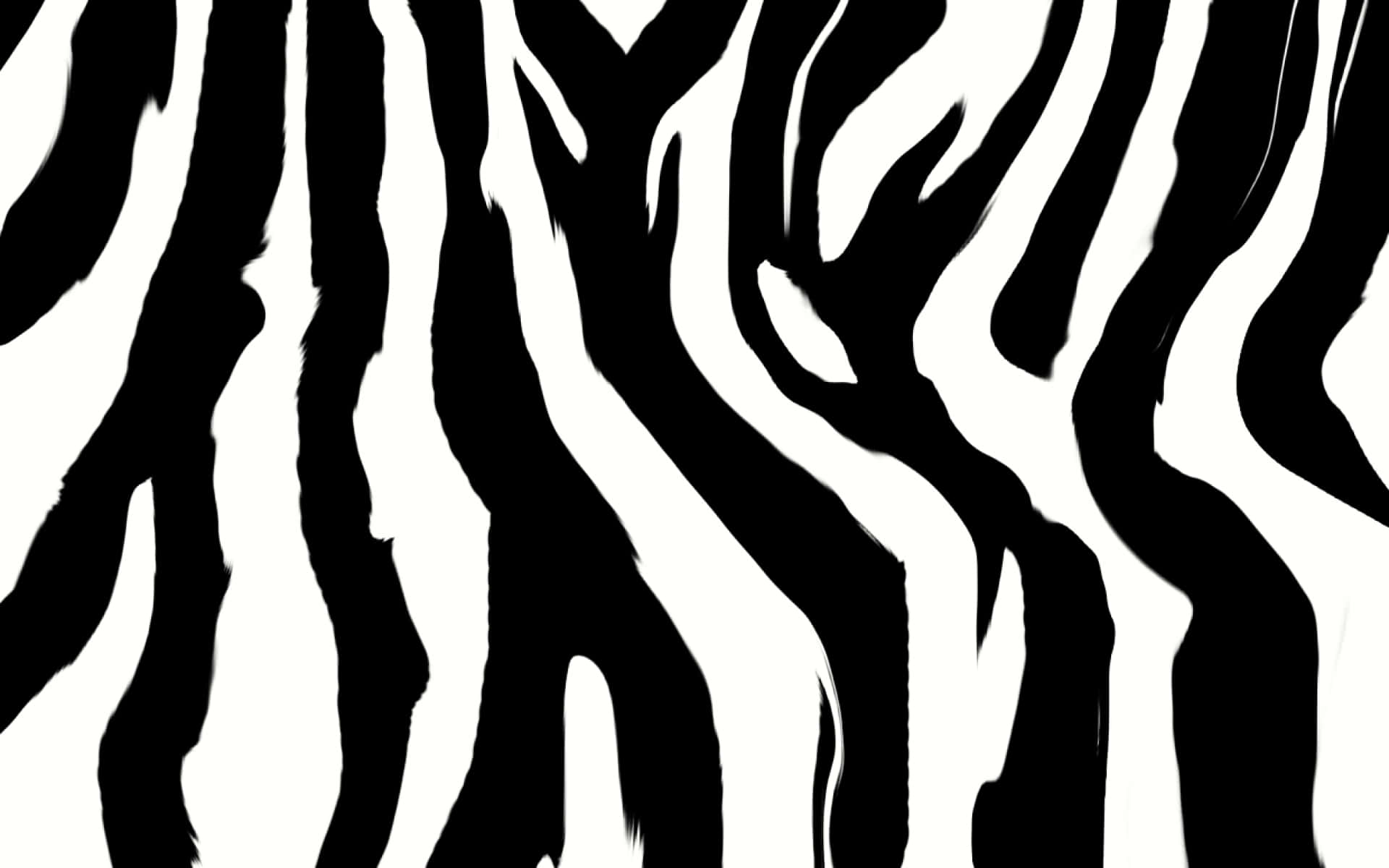 Stampa Animalier In Bianco E Nero Sfondo