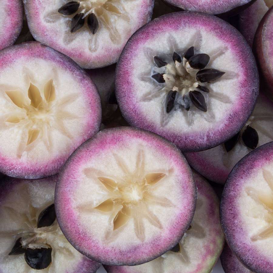 Frutto viola affettato con centri a forma di stella e semi scuri. — Star Apple Sfondi