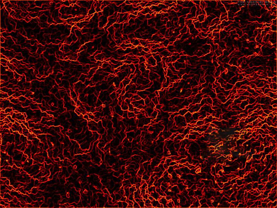 Abstract pattern of glowing red lightning against a black background. — Static Picture