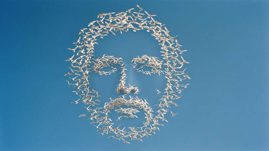 Birds forming Steal Your Face in sky — Steal Your Face Wallpaper