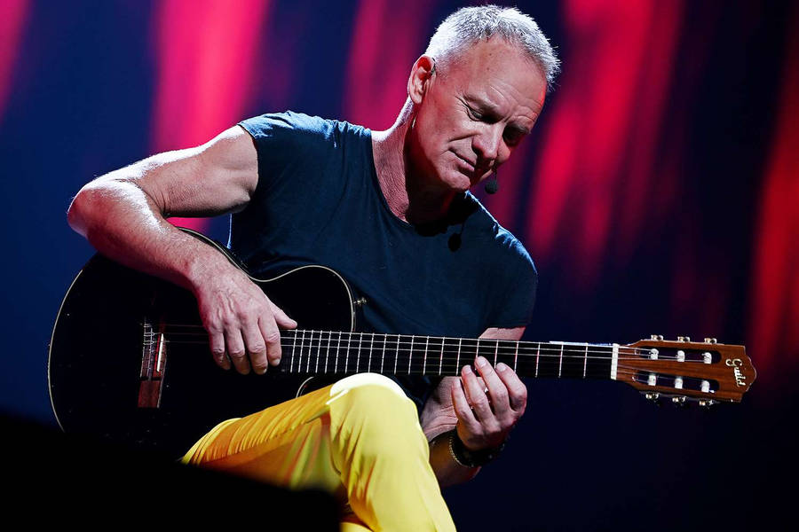 Sting Fond d'écran