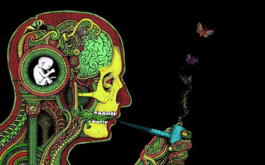 Surreal illustration of a skull with fetus inside gear smoking pipe with butterflies flying out. — Stoner Background