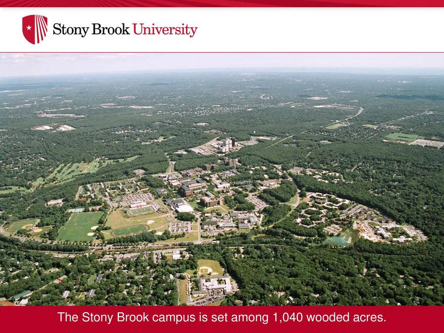 Stony Brook Universitet Wallpaper