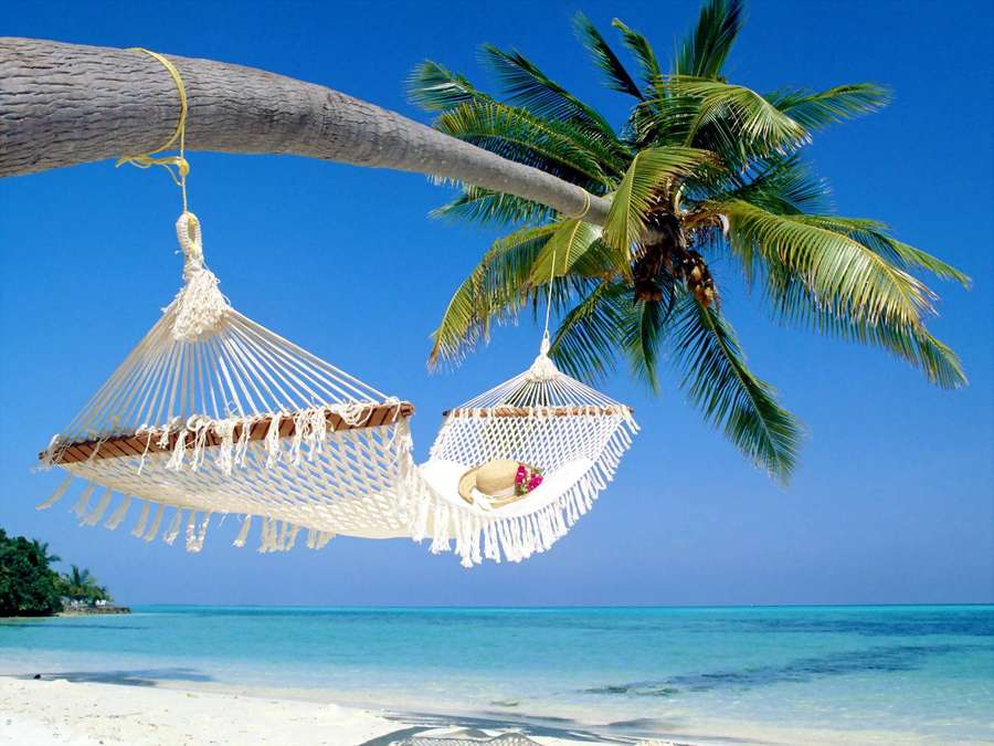 Zwei Hängematten hängen von einer Palme mit Blick auf einen türkisfarbenen Ozean auf einem weißen Sandstrand. — Strand Wallpaper