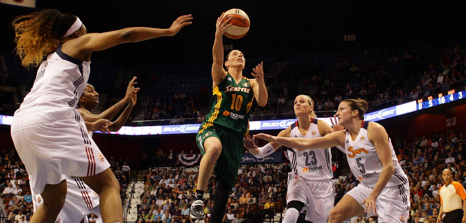 Sue Bird Achtergrond