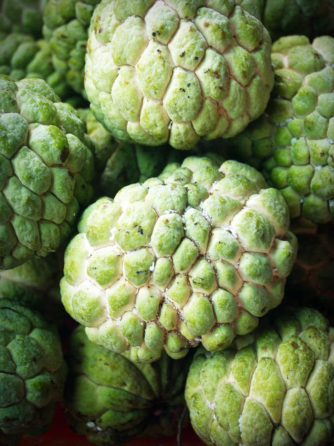 Sugar Apple Taustakuva