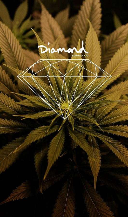 Planta de cannabis con gráfico de diamante blanco y texto superpuesto. — Suministro Fondos de pantalla