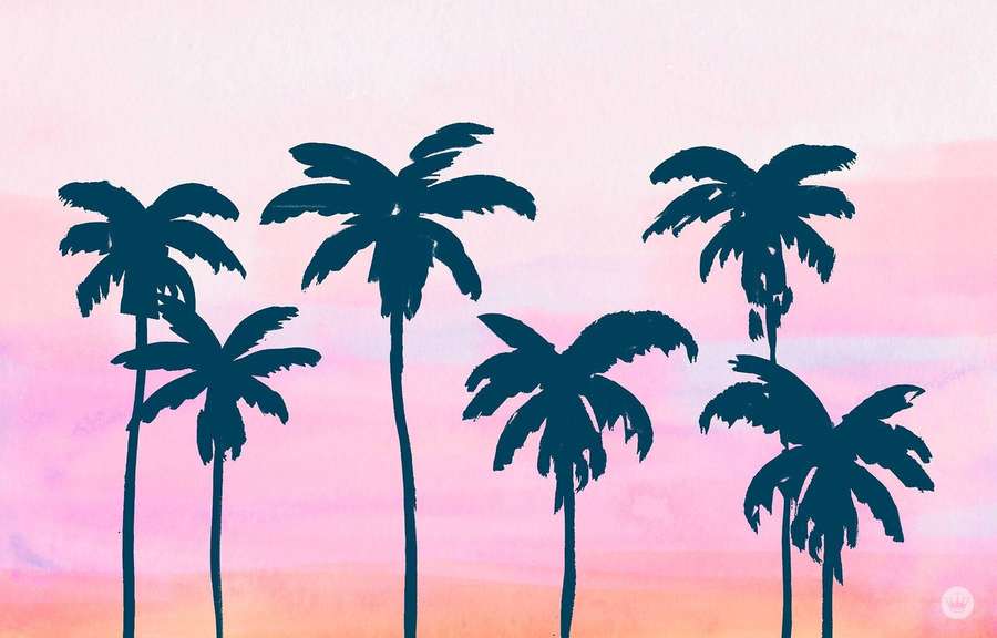 Palm tree silhouettes against a pink and peach sunset sky. — Summer Laptop Background