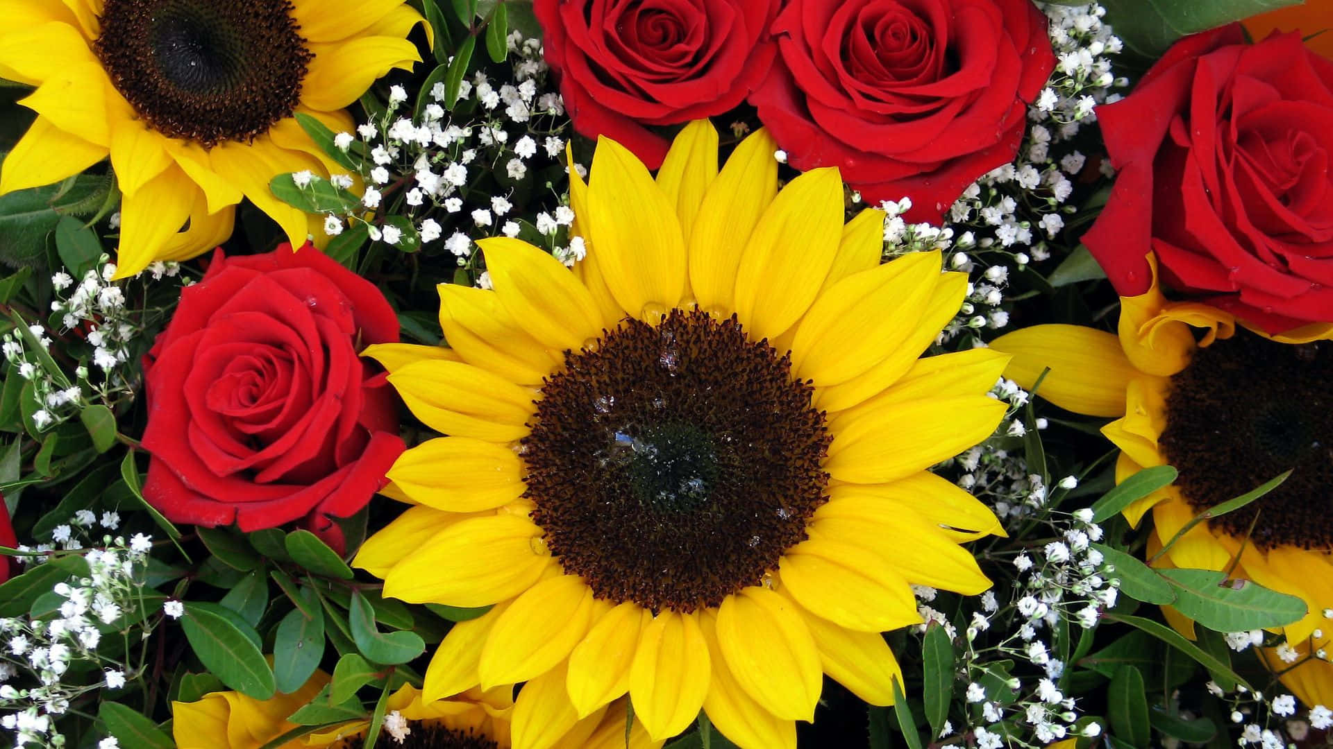 Sunflowers And Roses Background Wallpaper