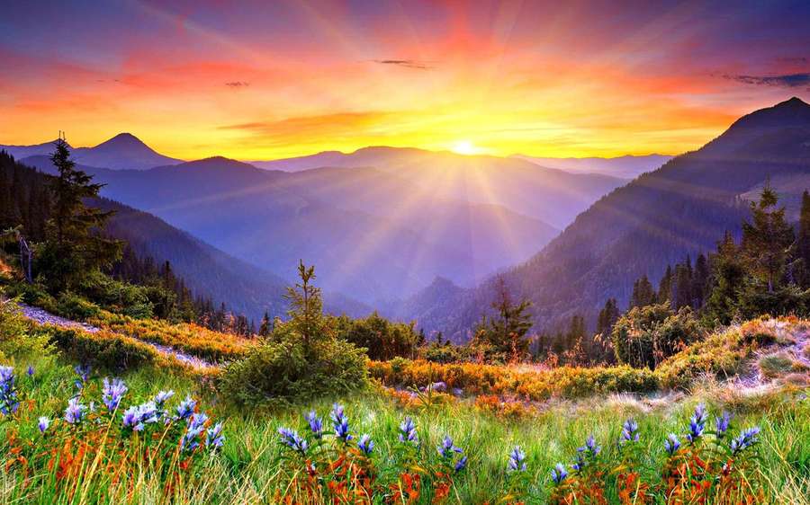 Sunset over mountain range with wildflowers in foreground — Sunrise Wallpaper