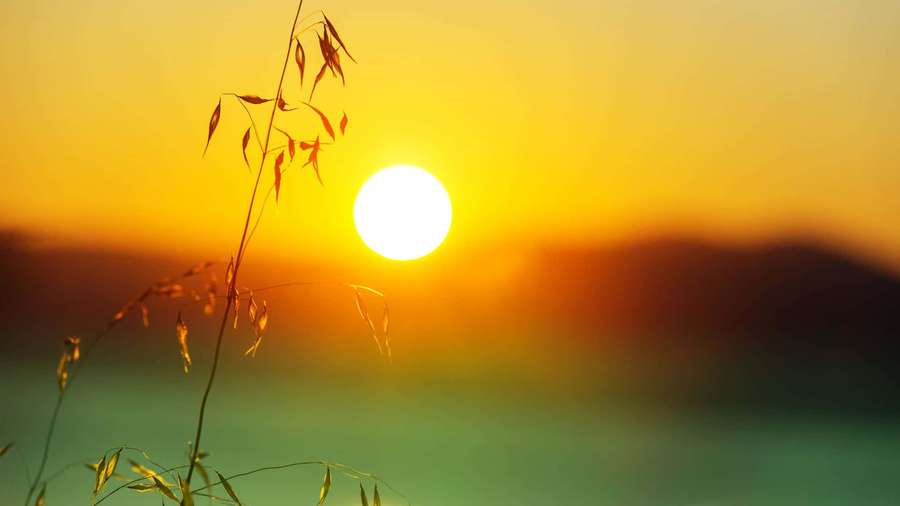 Sunset behind misty hills with silhouetted grasses glowing warmly. — Sunrise Background