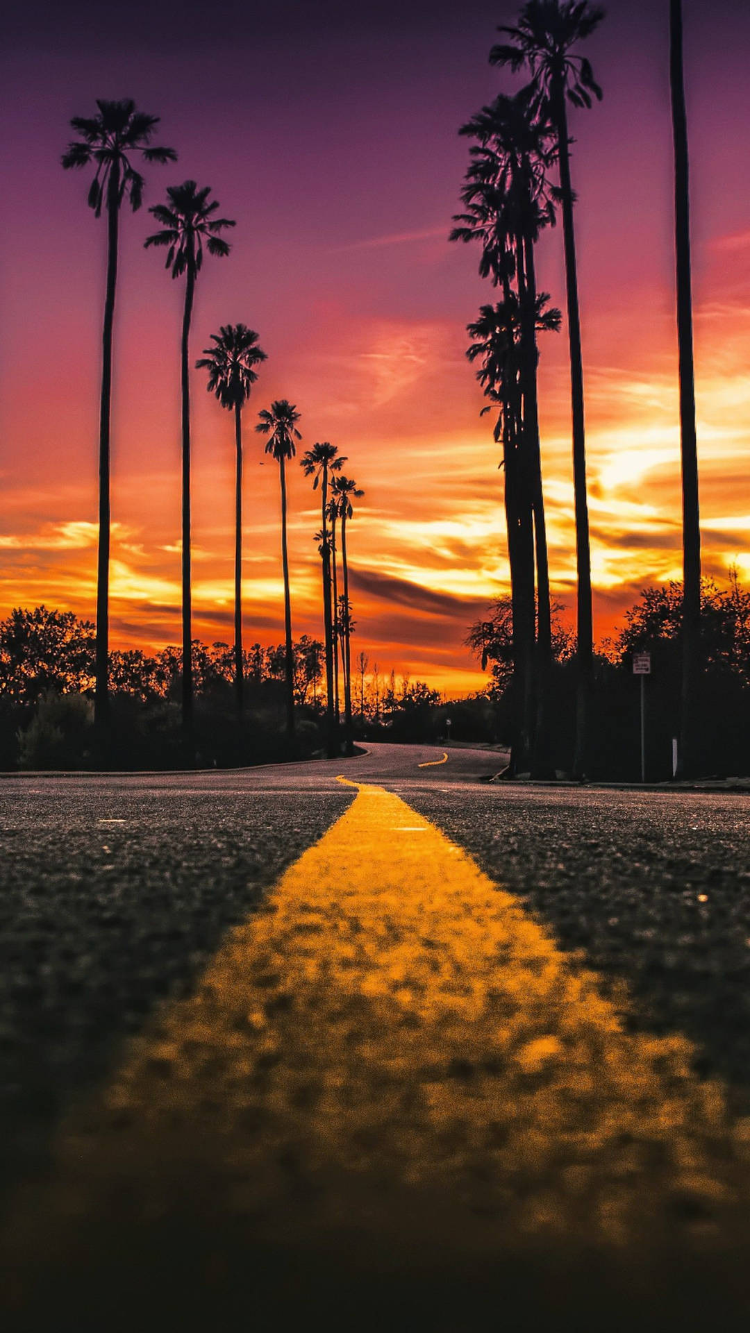 Sunset Boulevard Wallpaper