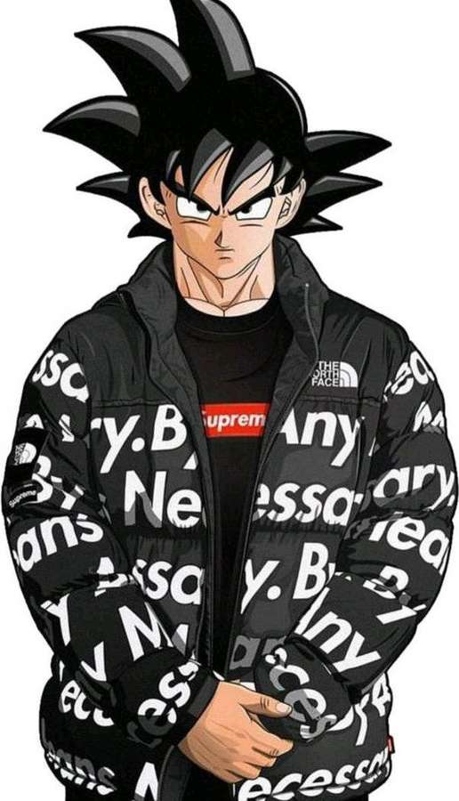 Personaje de anime Goku en una chaqueta acolchada y camiseta de marca. — Superhéroe Supremo Fondos de pantalla