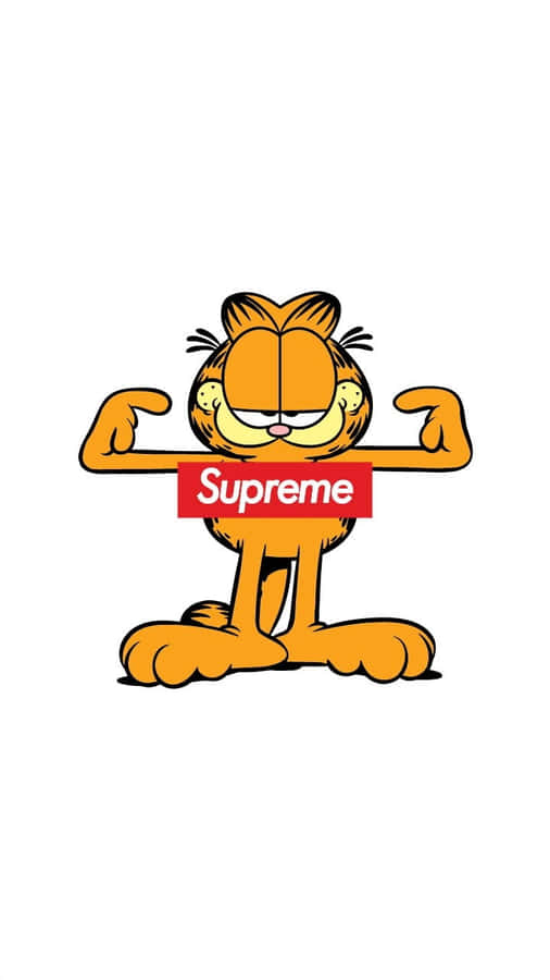 Supreme Cartoon Bilder