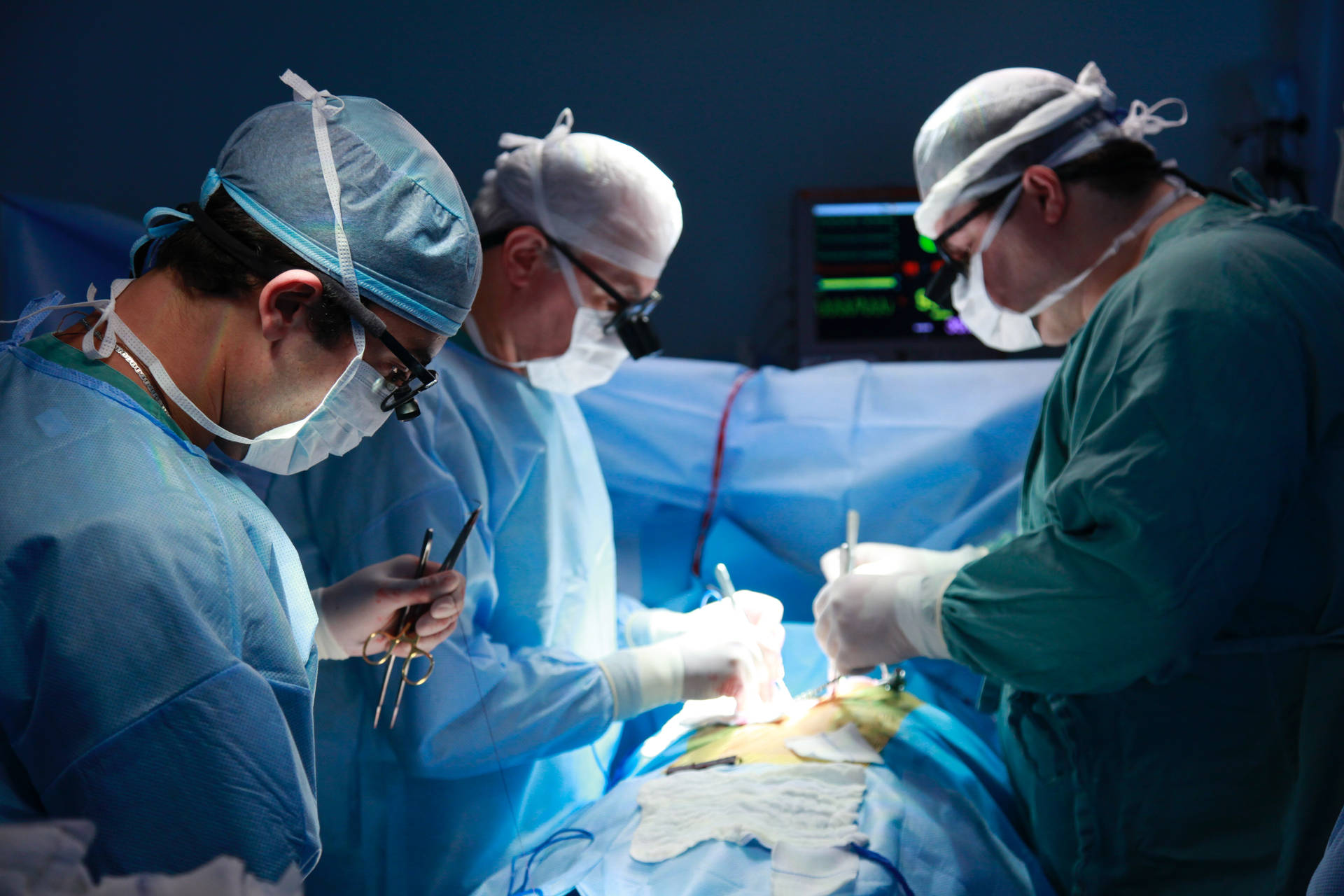 Surgery Photos Download The BEST Free Surgery Stock Photos  HD Images