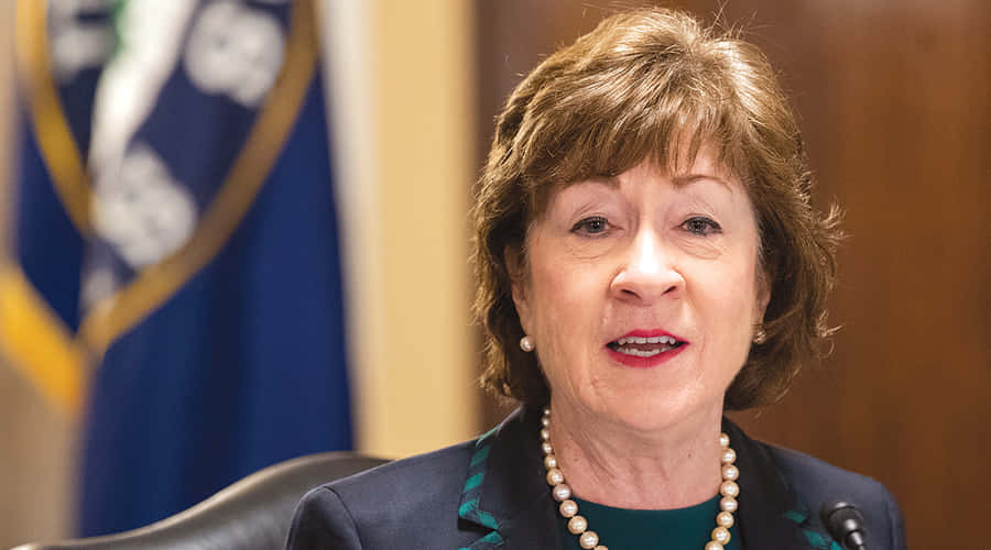 Susan Collins Achtergrond